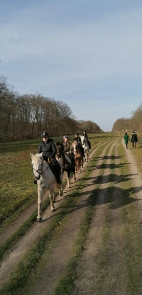 compiegne (3)