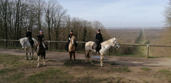 compiegne (5)