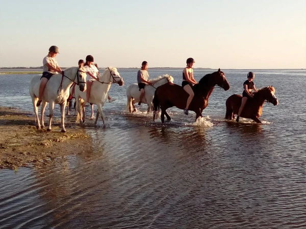 Poney club Villers-Cotterêts