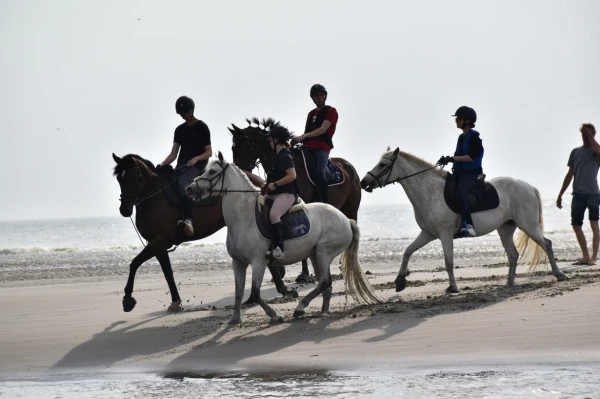 touquet mer