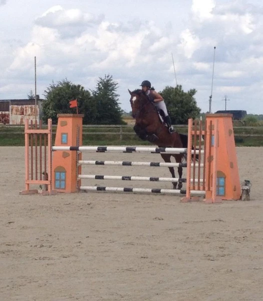 Sauts d'obstacles