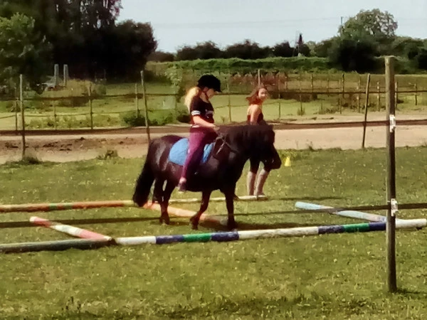 equifun