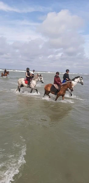 Bord de mer et forêt
