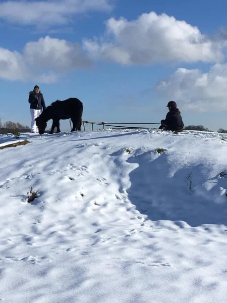 poneyluge